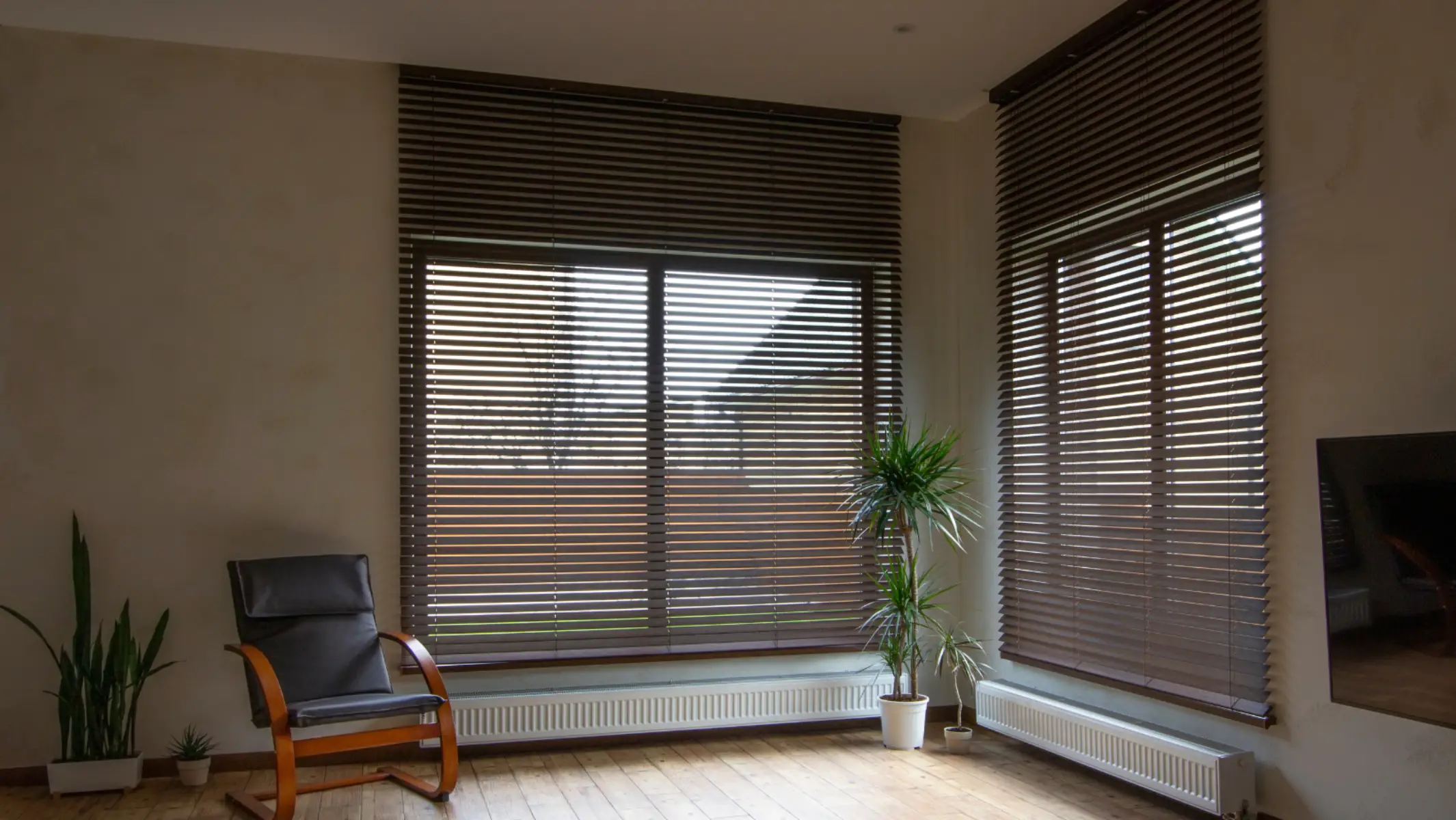 Automated Window Blinds