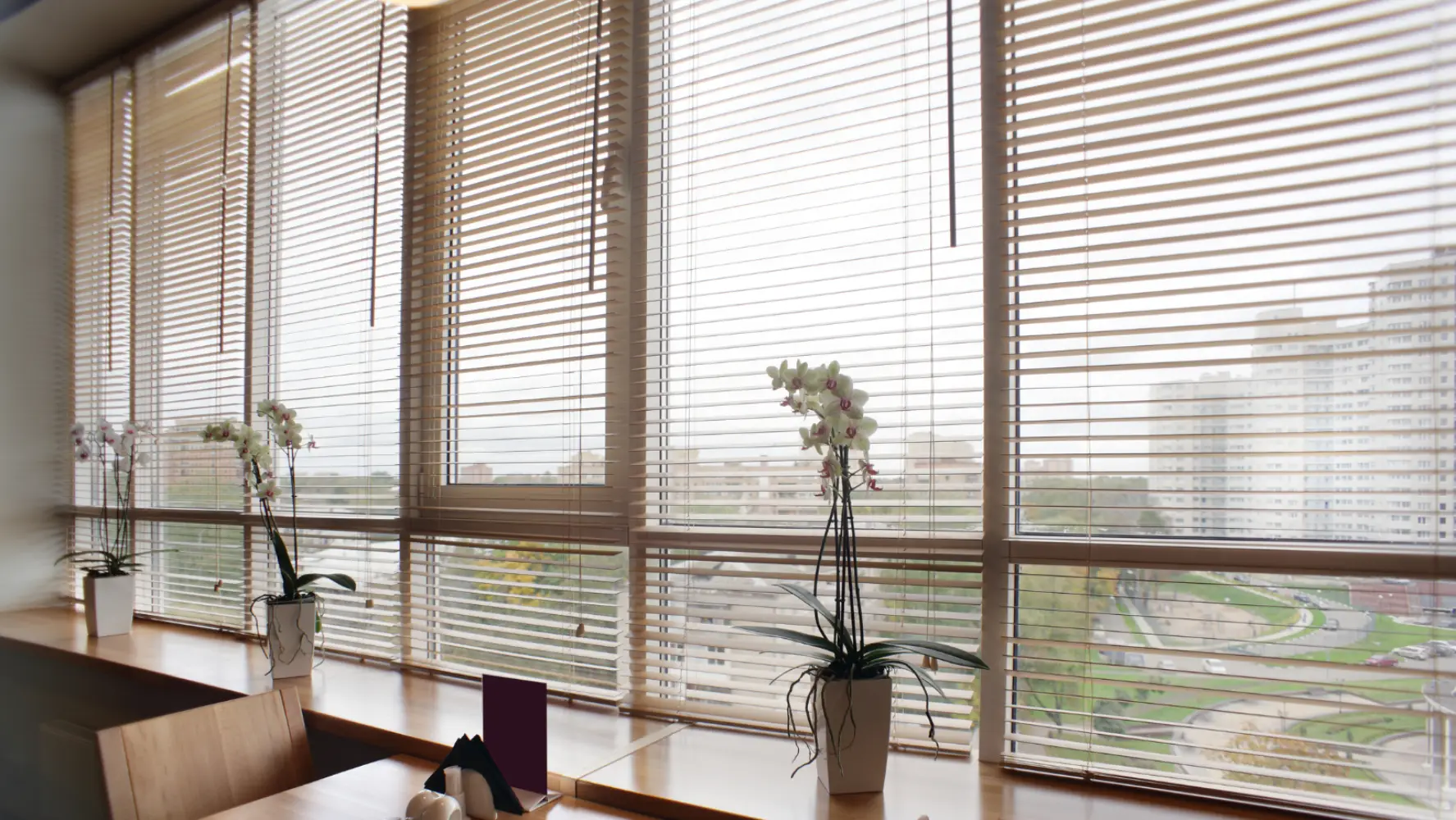 Roller blinds windows