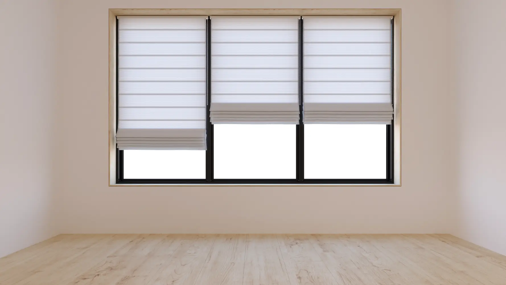 Roller window Blinds