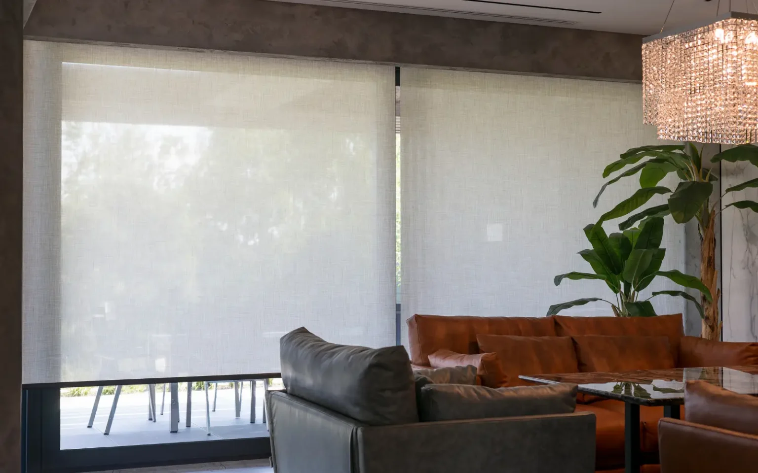 Roller Blinds for Windows