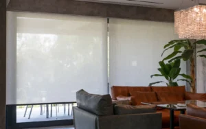 Roller Blinds for Windows