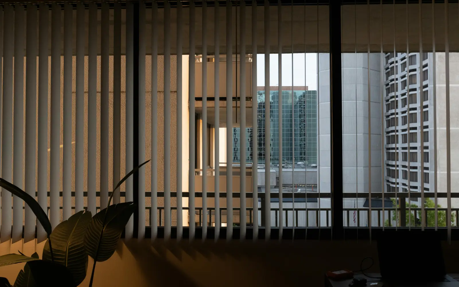 window blinds and curtains