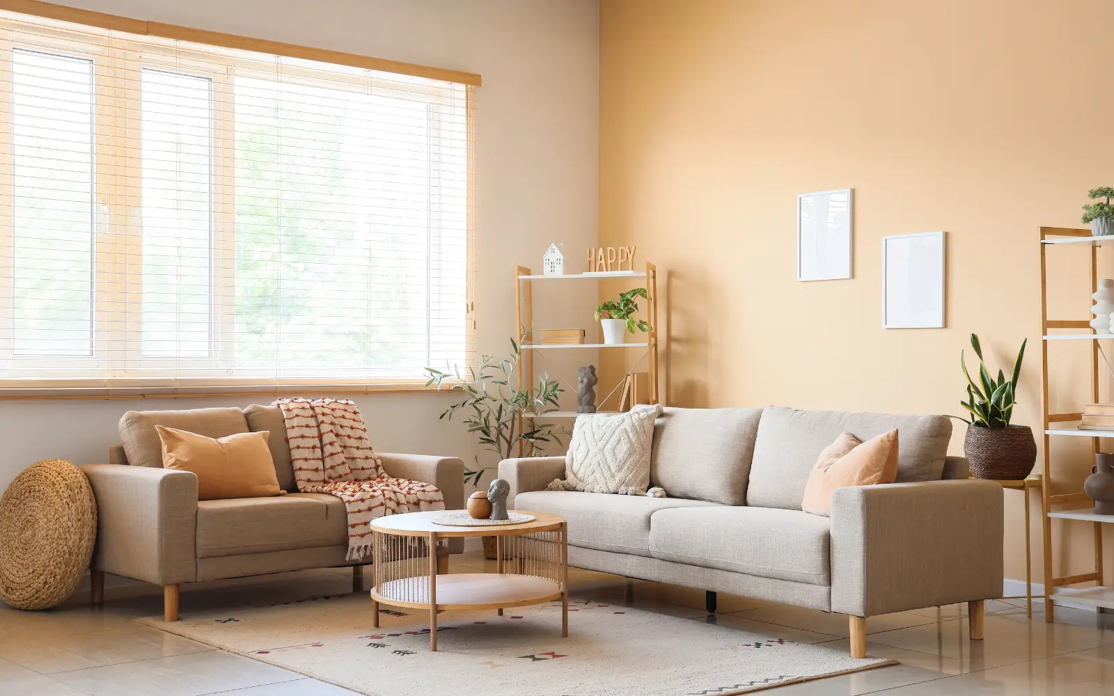 Window Blinds and Curtains