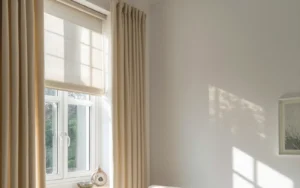 window curtains and blinds