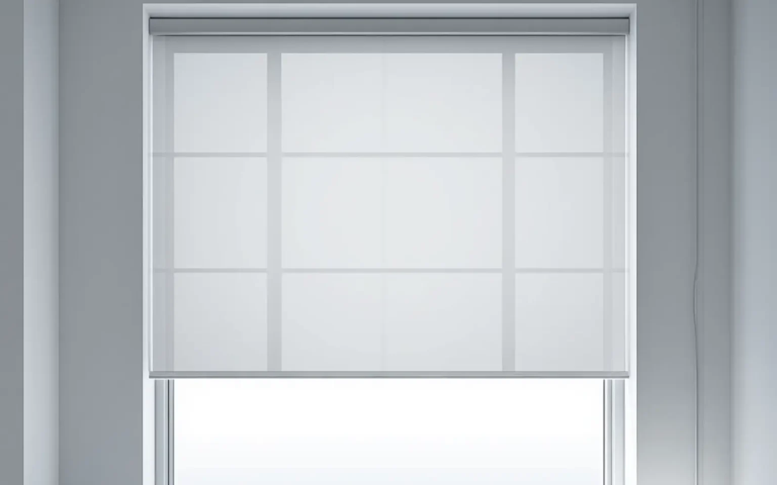 window with roller blinds