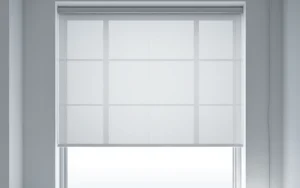window with roller blinds