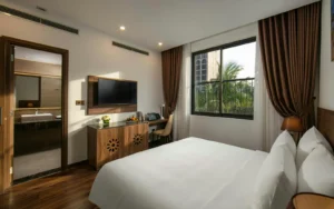 Smart Curtains