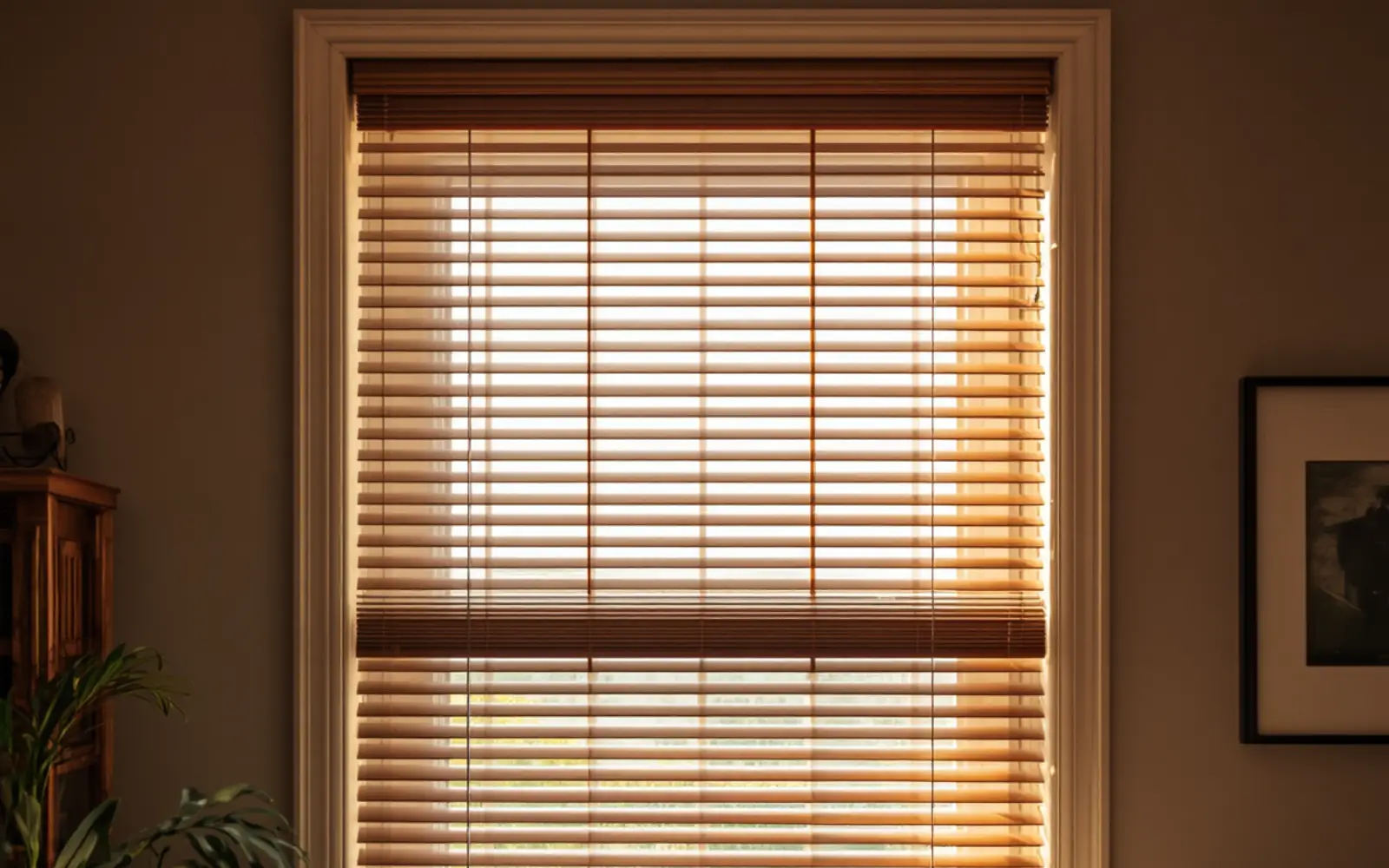 Window Blinds