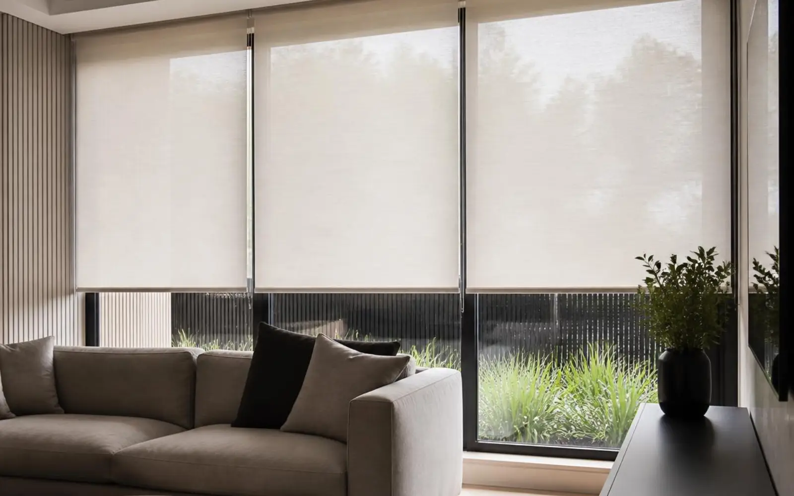 window blinds